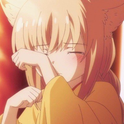 美国第一夫人声明